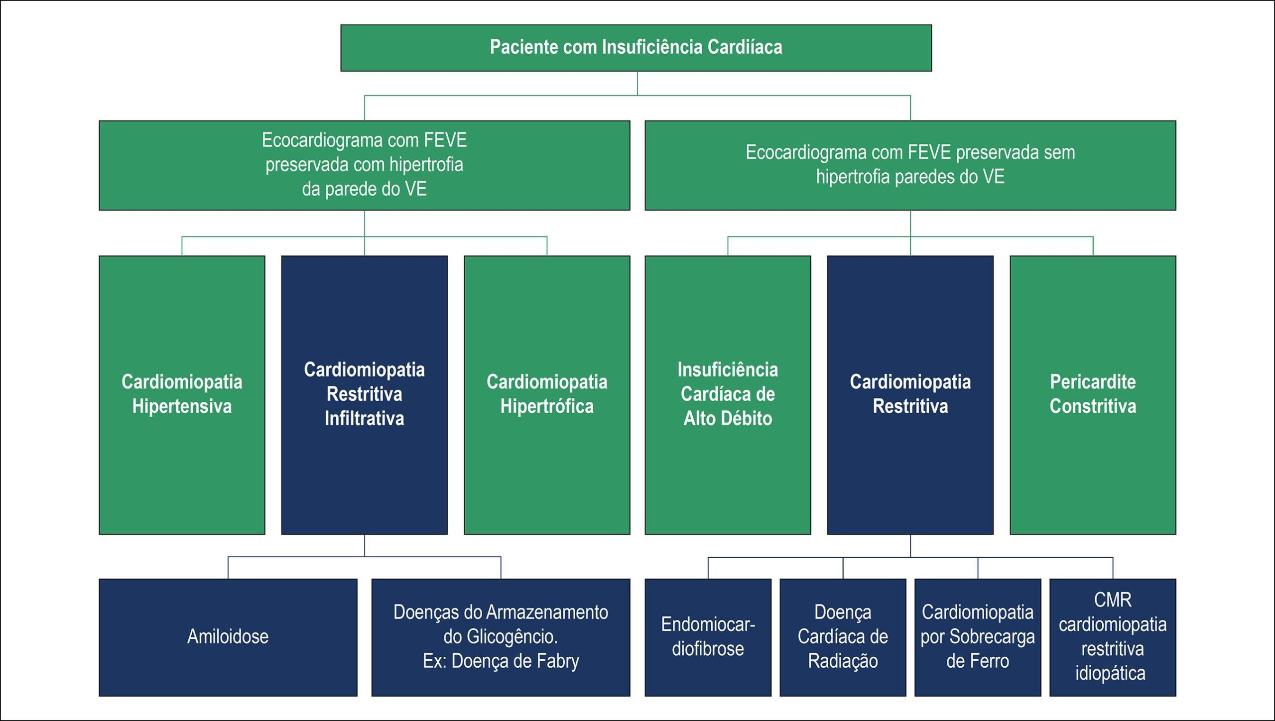 Figura 1