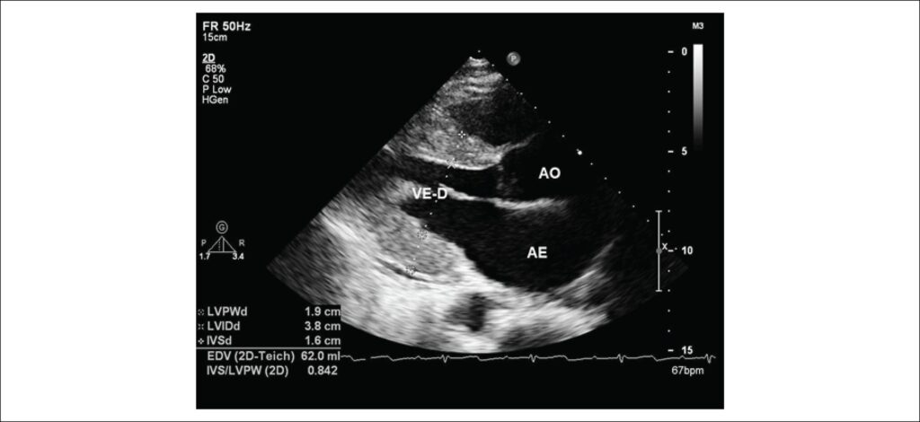 Figura 3