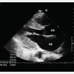 Figura 3