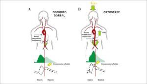 Figura 3