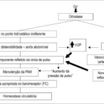 Figura 4