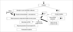 Figura 4