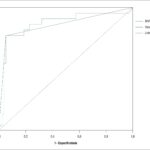 Figura 4