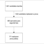 Figura 1