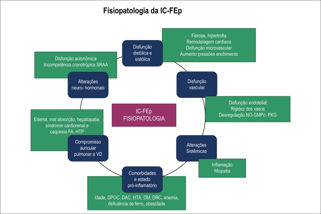 Figura 1