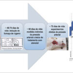 Figura 1