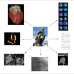 Figure 19