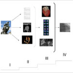 Figure 20