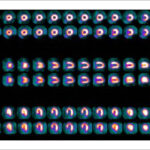 Figure 22