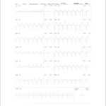 Figure 24