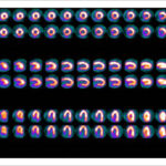 Figure 29