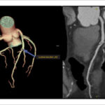 Figure 40