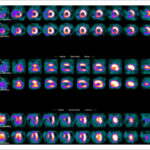 Figure 49