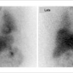 Figure 53