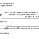 Figura 1