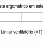 Figura 1