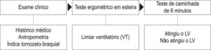 Figura 1