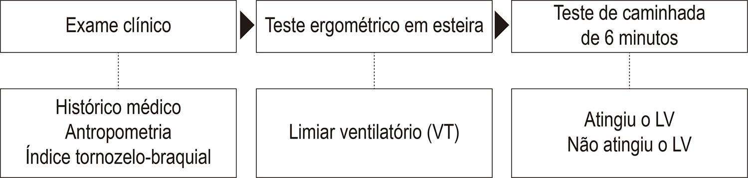 Figura 1