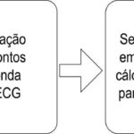 Figura 1
