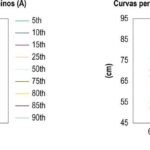Figura 1