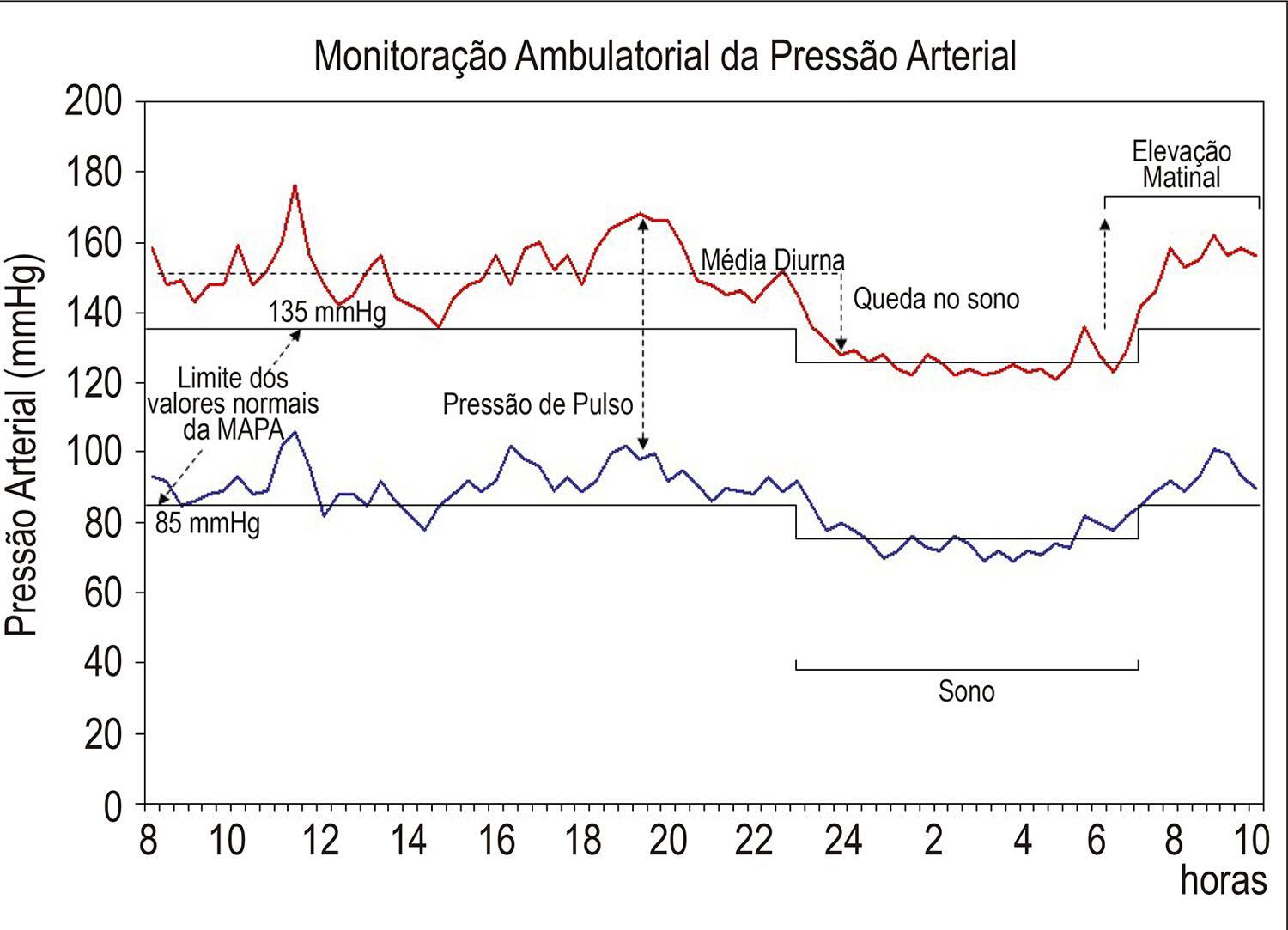 Figura 1