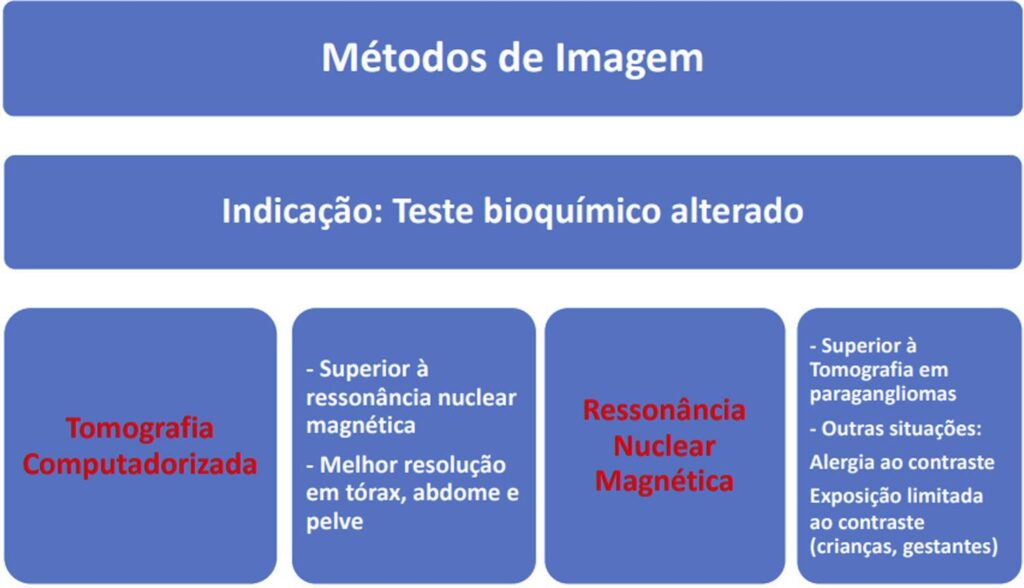 Figura 4