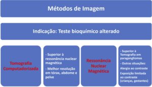 Figura 4