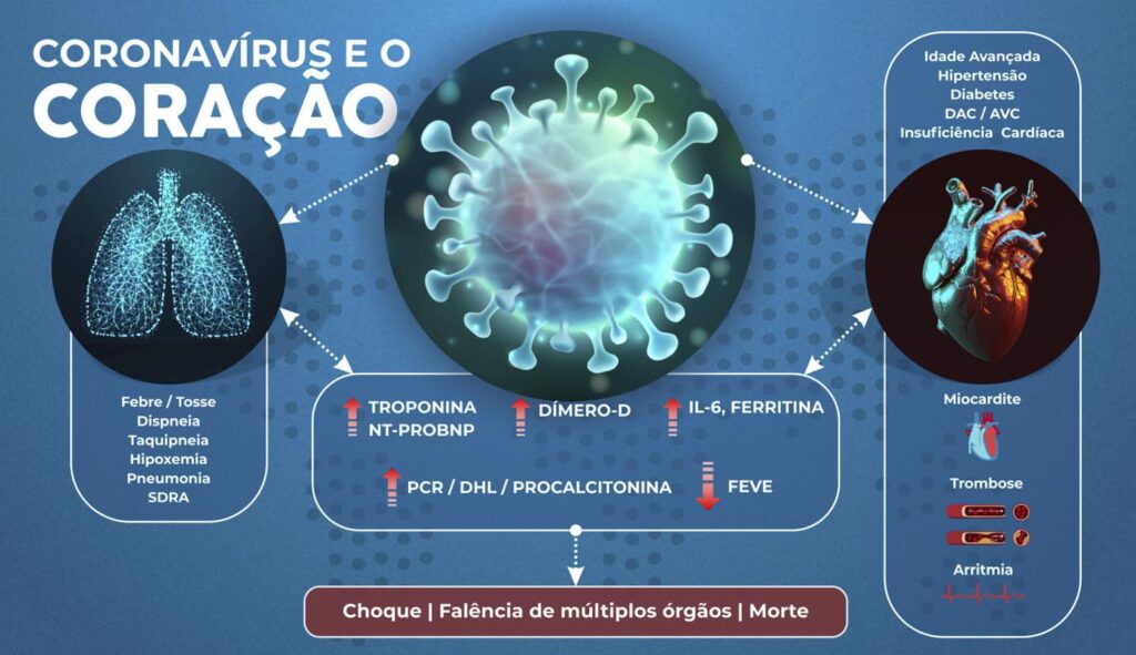 Figura 1