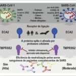 Figura 1