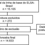 Figura 1