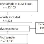 Figura 1