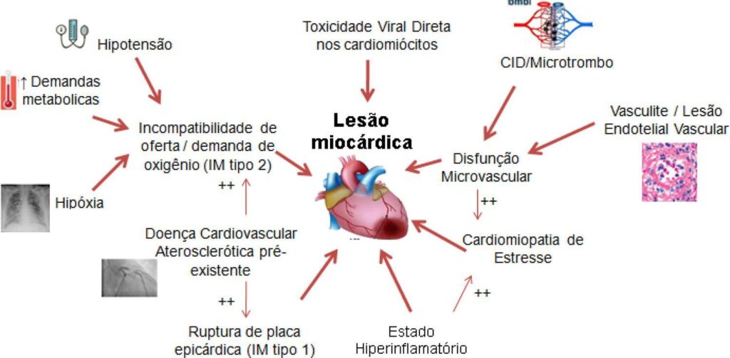 Figura 2