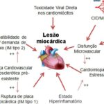 Figura 2