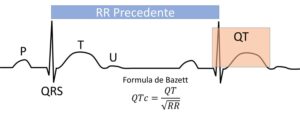 Figura 1