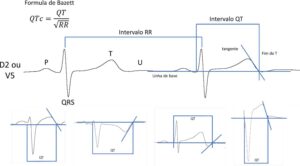 Figura 3