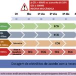 Figura 4