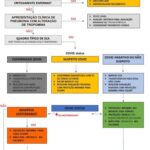 Figura 2