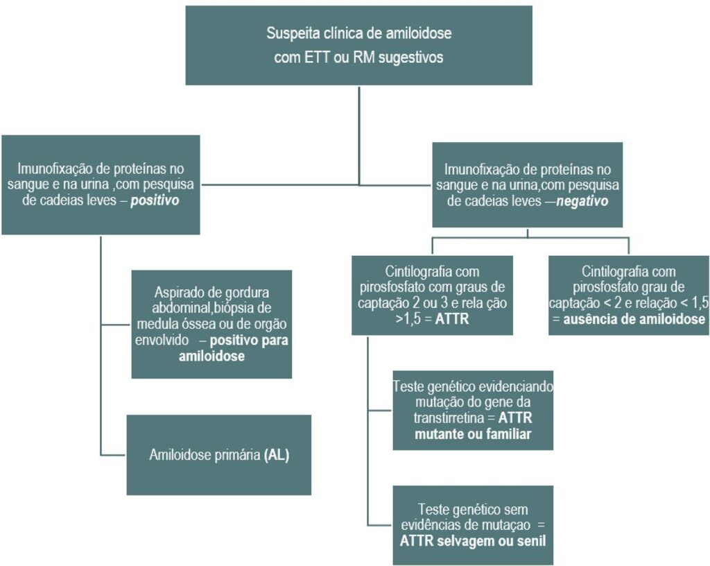 Figura 3