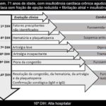 Figura 1