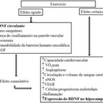 Figura 1