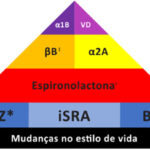 Figura 1