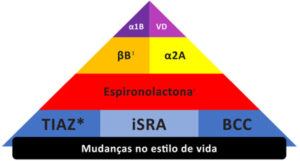 Figura 1