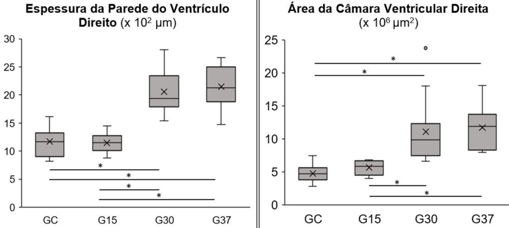 Figura 8