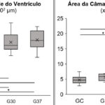 Figura 8
