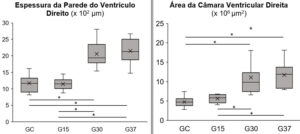 Figura 8
