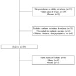 Figura 1