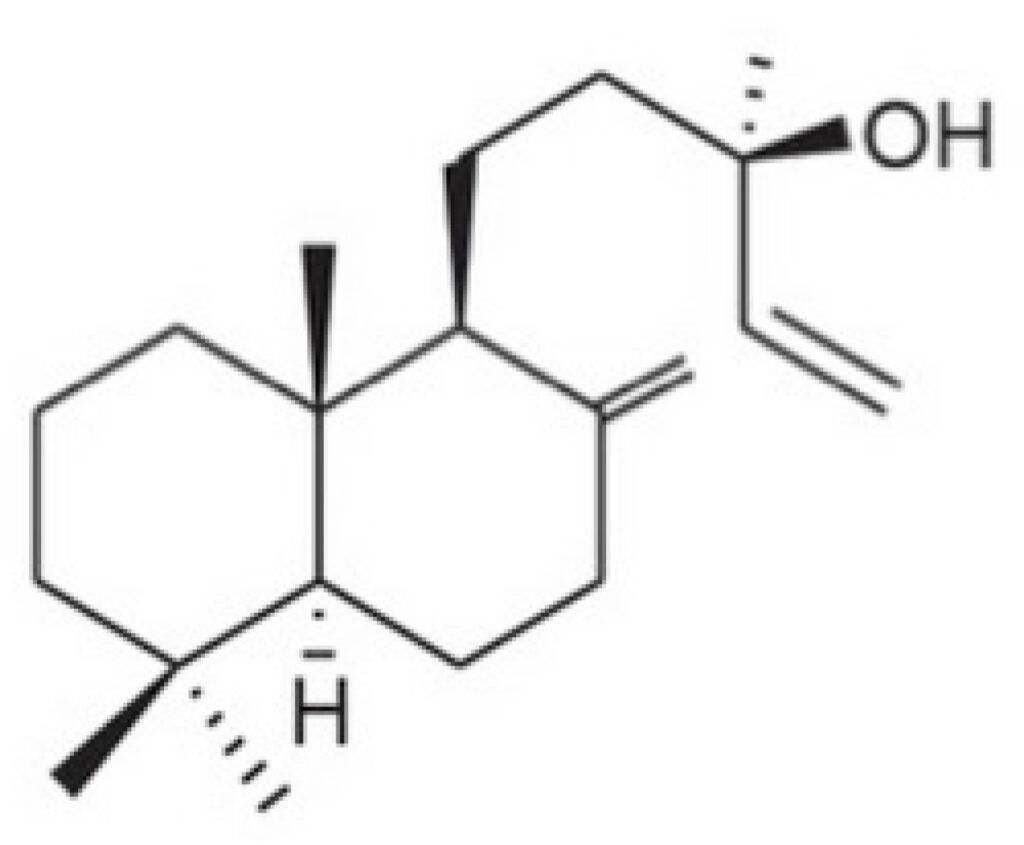 Figura 1