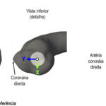 Figura 1