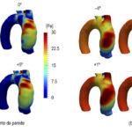 Figura 4