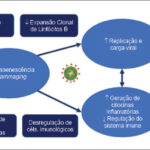 Figura 2